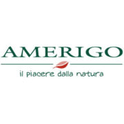 amerigo